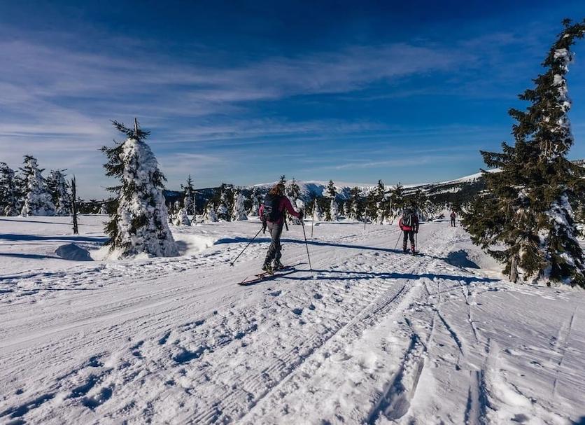 Muu Valokuva