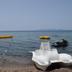 Ranta