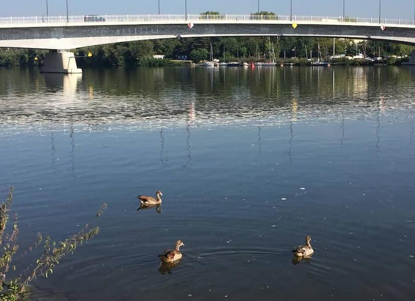 Näkymät ulkona Valokuva
