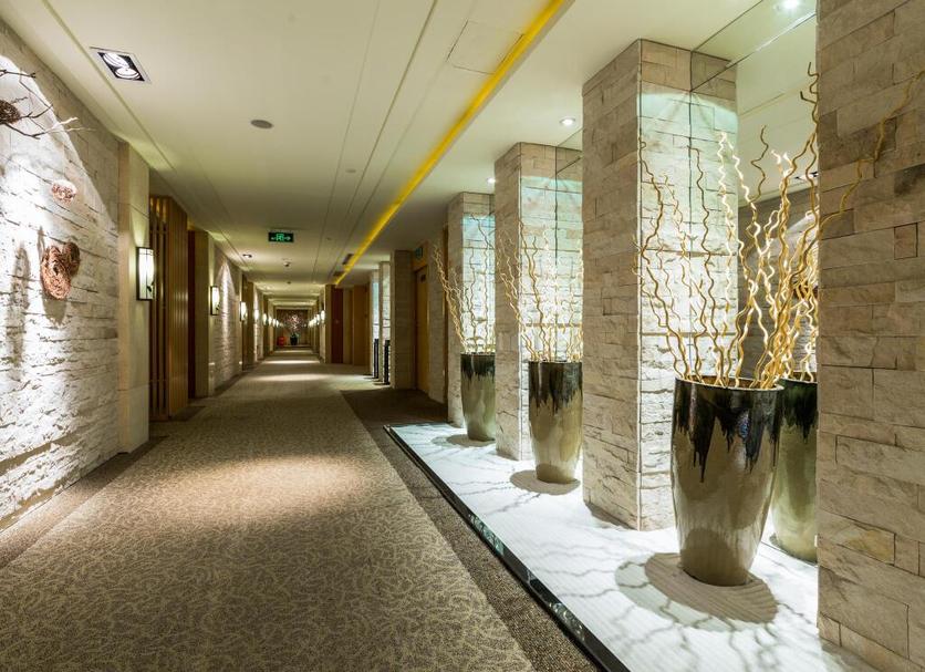 Aula Valokuva