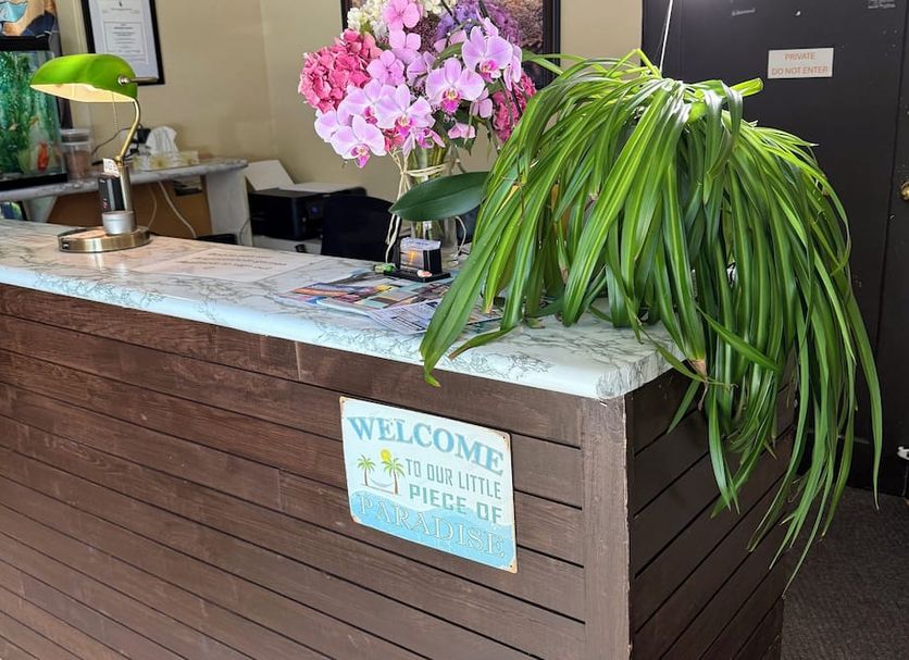 Vastaanotto Valokuva