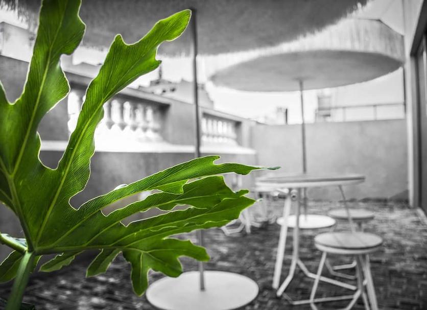Patio Valokuva