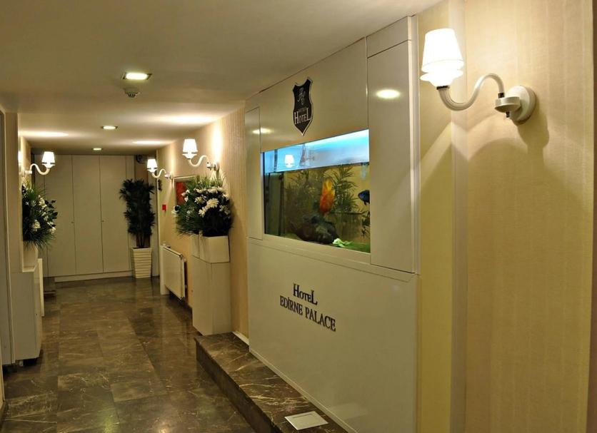 Aula Valokuva