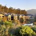Muu