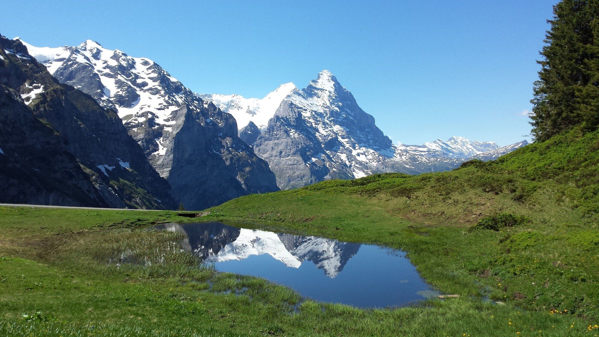 Muu