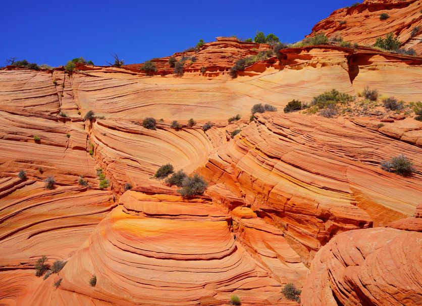 Hotellin palvelut Valokuva