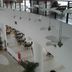 Aula