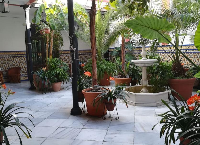 Patio Valokuva