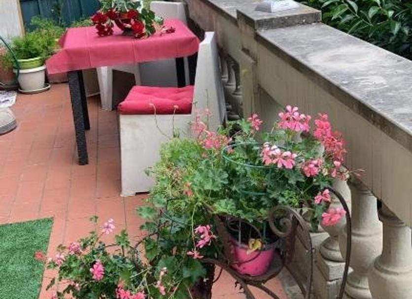 Patio Valokuva