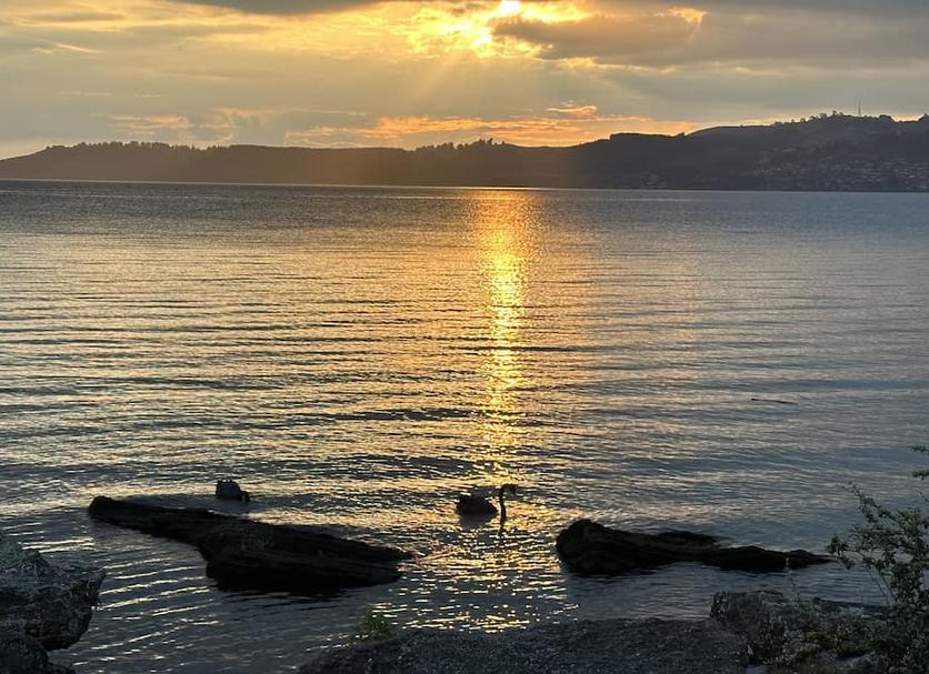 Ranta Valokuva