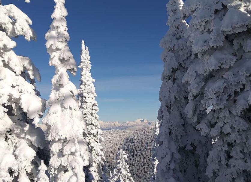 Näkymät ulkona Valokuva