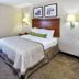 Muu