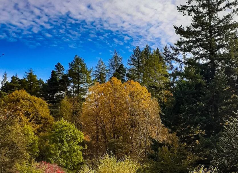 Näkymät ulkona Valokuva