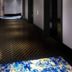 Aula