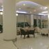 Aula