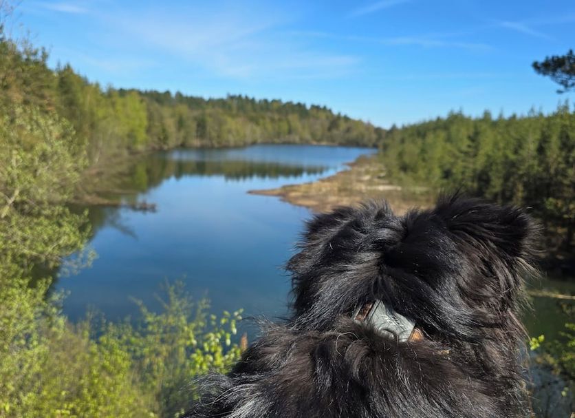 Muu Valokuva