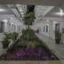 Aula