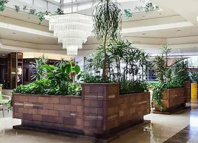 Vastaanotto Valokuva