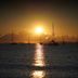 Muu