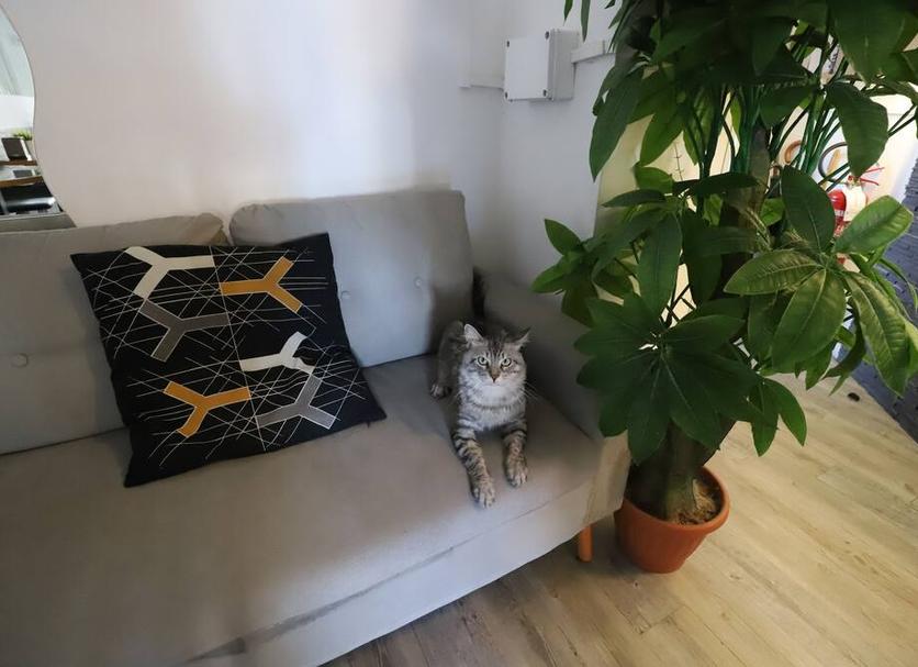 Huoneen palvelut Valokuva