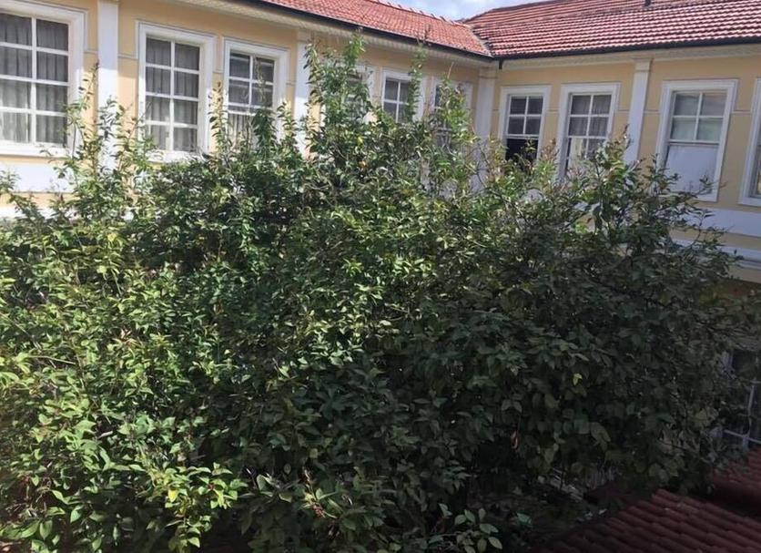 Näkymät ulkona Valokuva