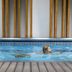 Muu