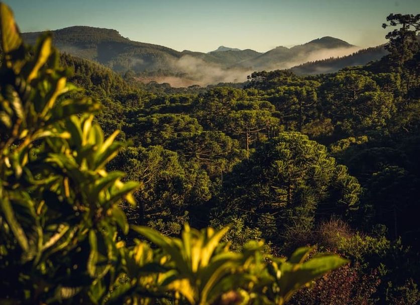 Näkymät ulkona Valokuva