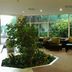 Aula