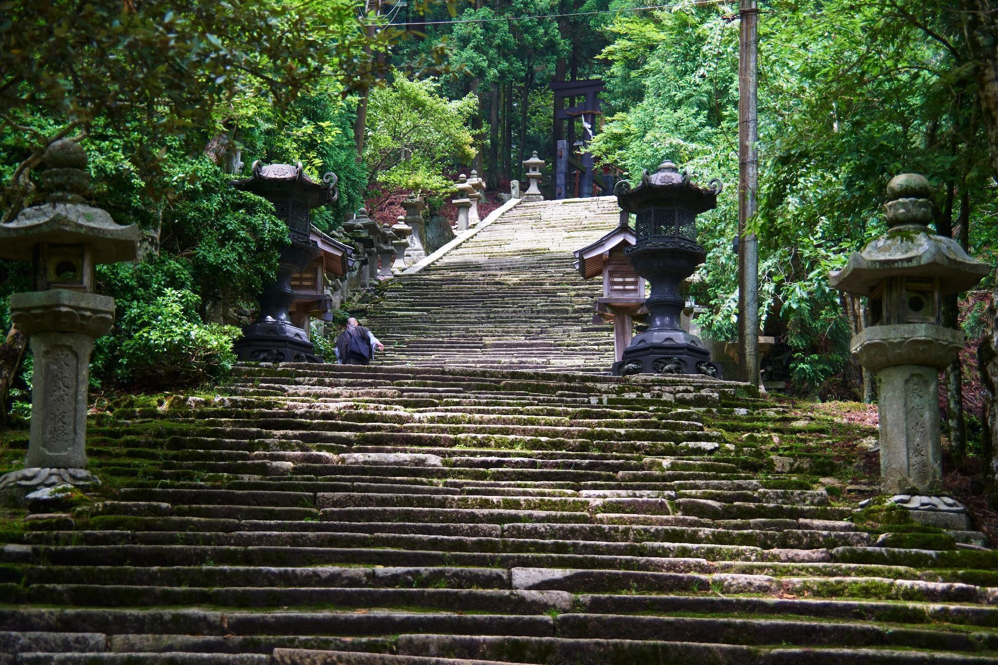 Muu