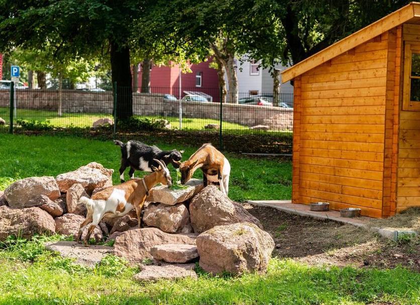 Nähtävyydet Valokuva