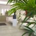 Aula