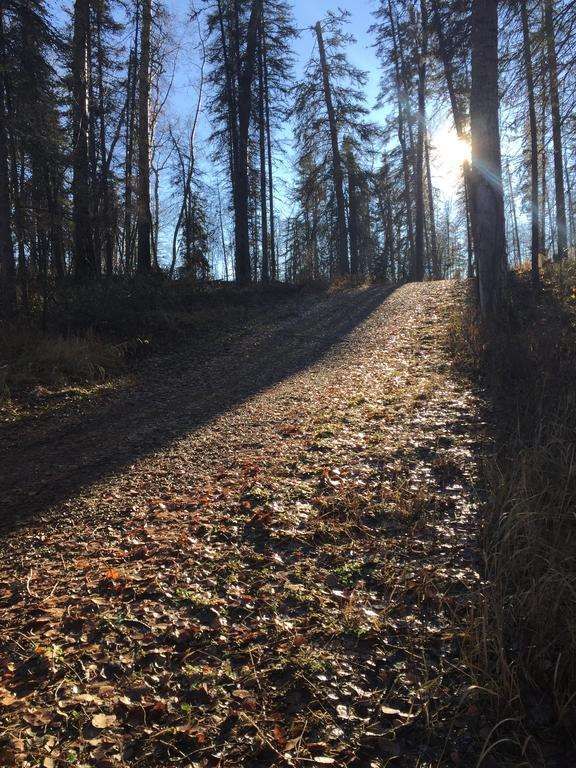 Näkymät ulkona