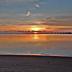 Ranta