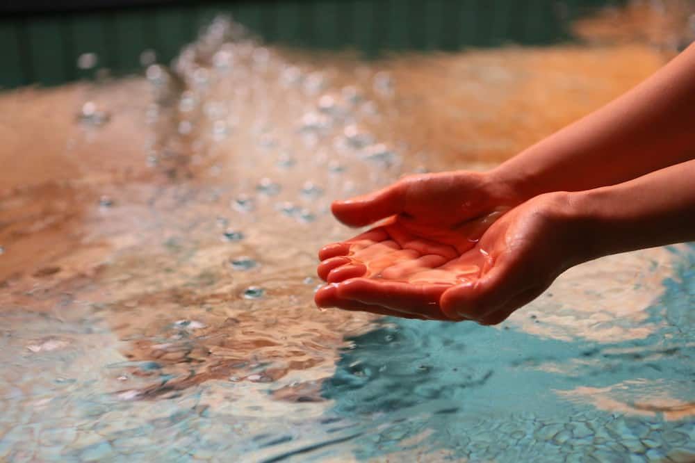 Muu