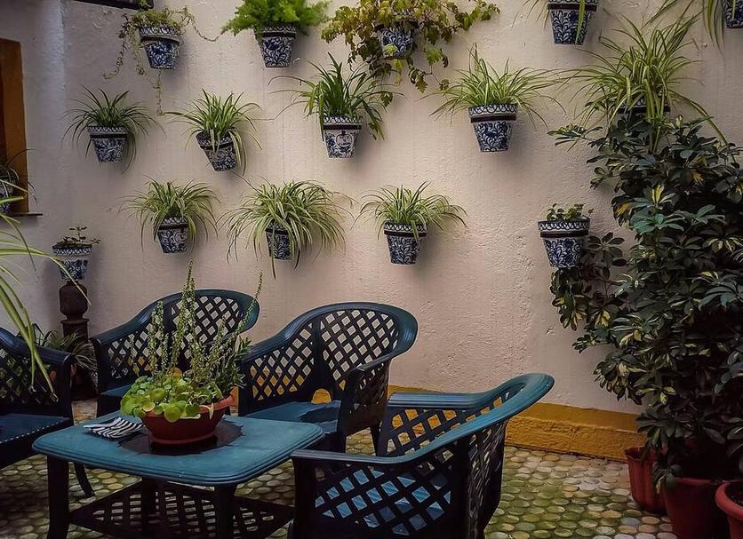 Patio Valokuva