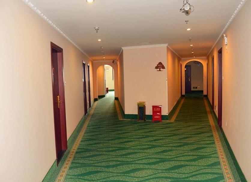 Aula Valokuva