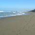 Ranta