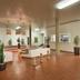 Aula