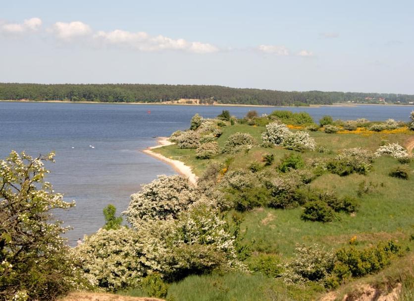 Muu Valokuva
