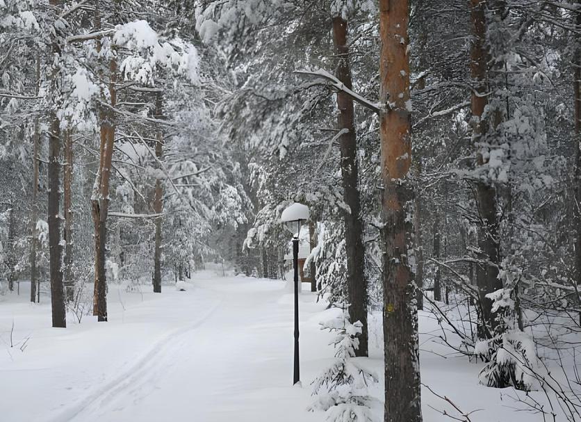 Näkymät ulkona Valokuva