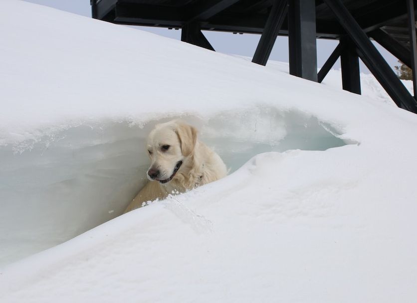 Hotellin palvelut Valokuva