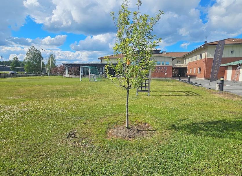 Näkymät ulkona Valokuva