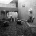 Muu