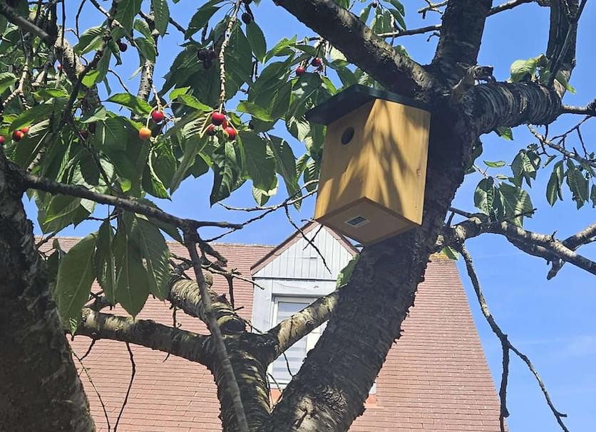 Näkymät ulkona Valokuva