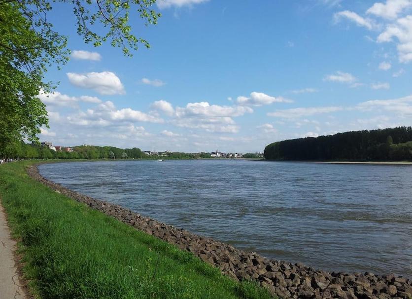 Muu Valokuva