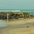 Ranta