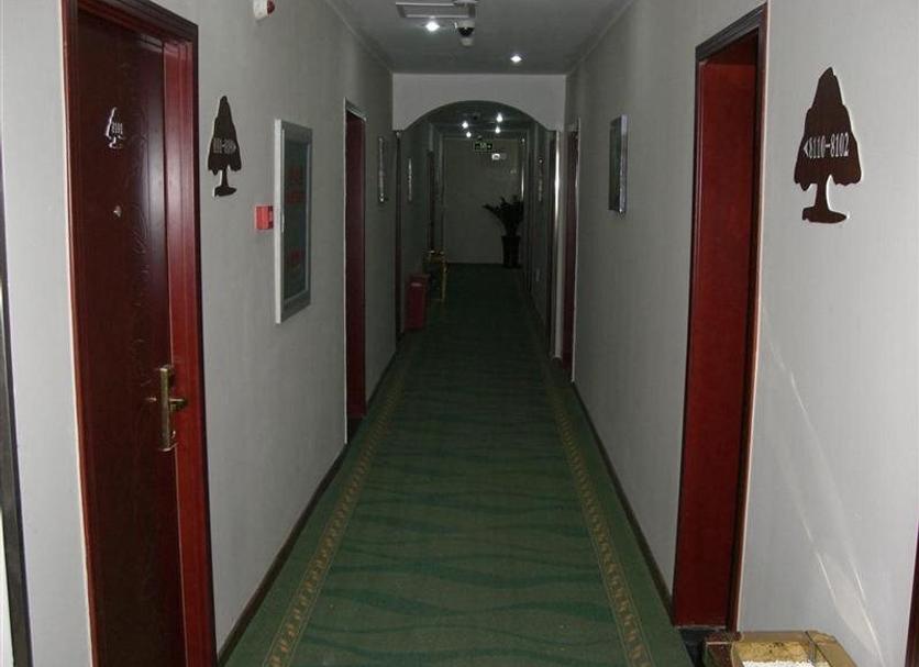 Aula Valokuva
