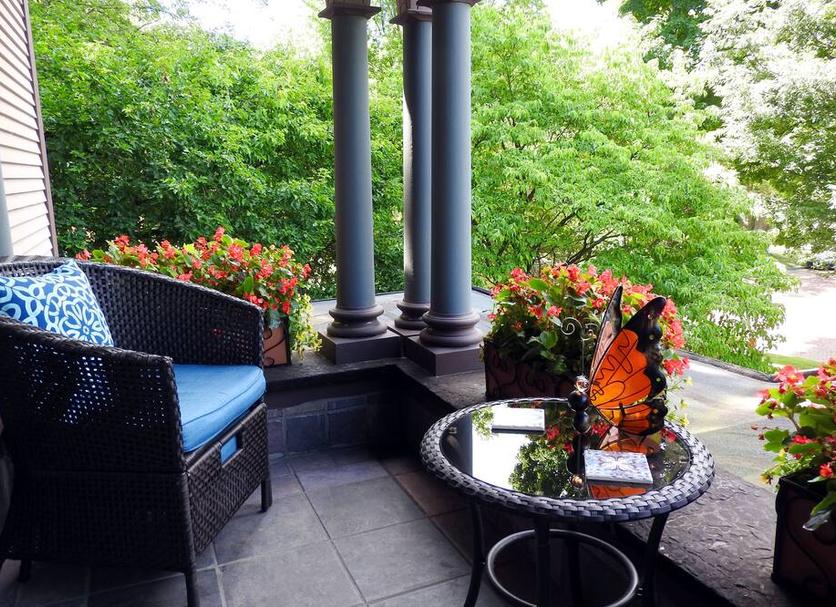 Patio Valokuva
