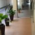 Aula