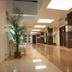 Aula